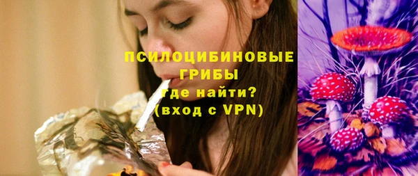 стаф Сатка