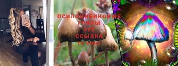 jwh Алзамай